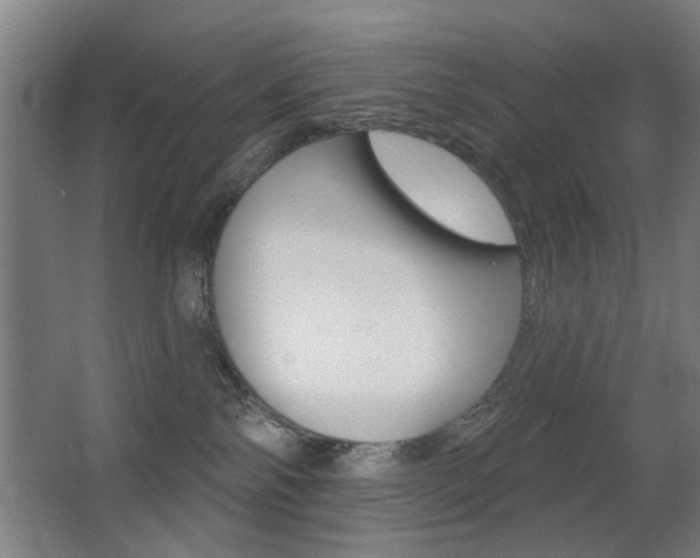 X0000062890138200601131027