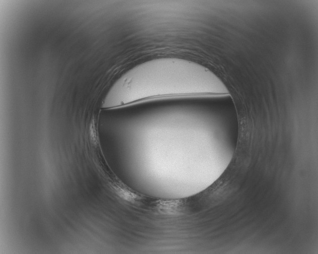 X0000062890143200601131027