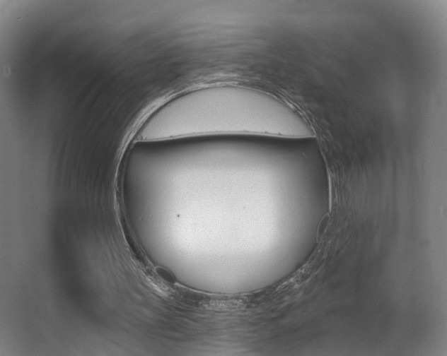 X0000062890147200601131026