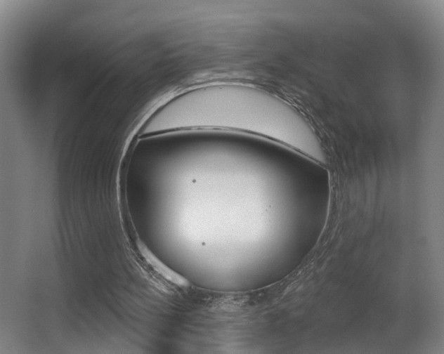 X0000062890148200601131026