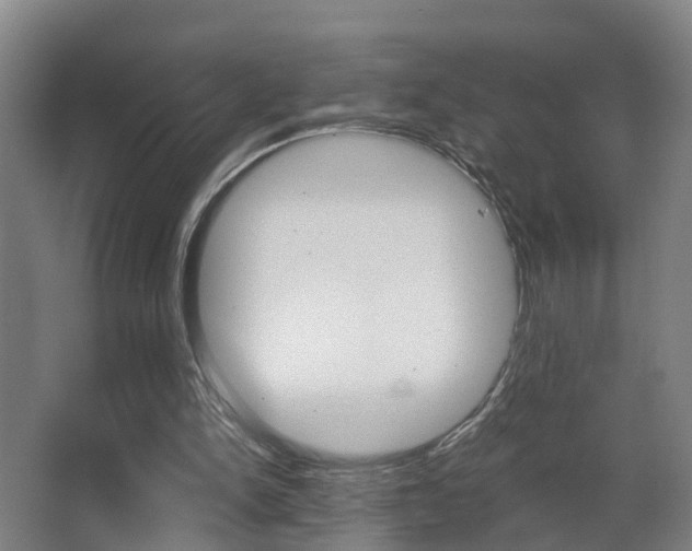 X0000062890150200601131026