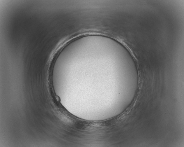 X0000062890151200601131026