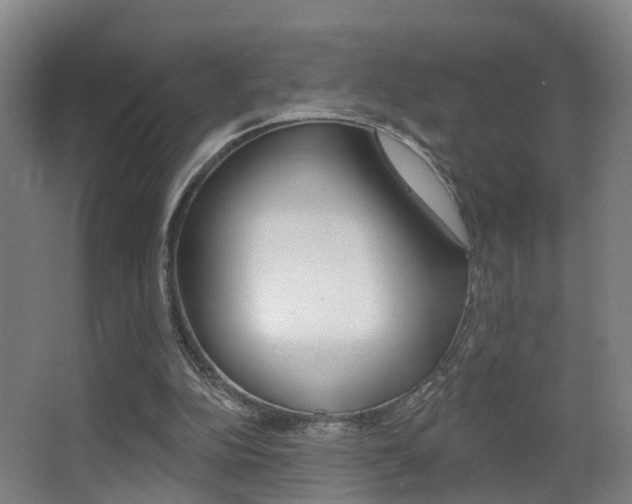 X0000062890152200601131026