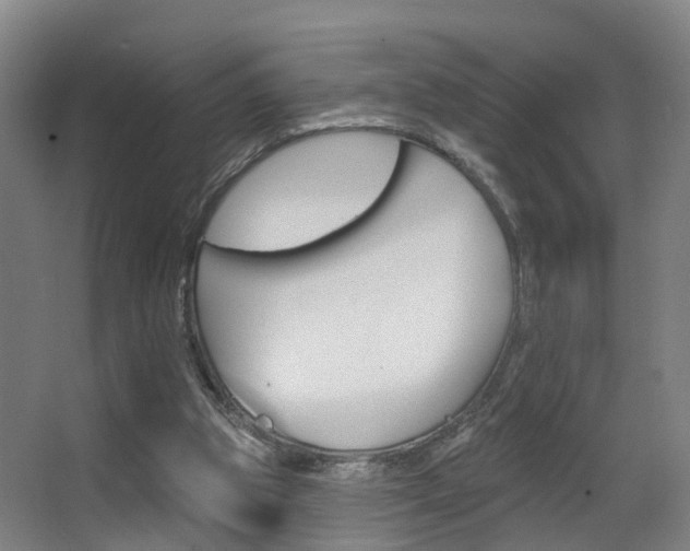 X0000062890153200601131026