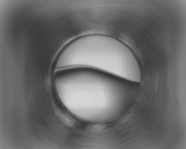 X0000062890156200601131026