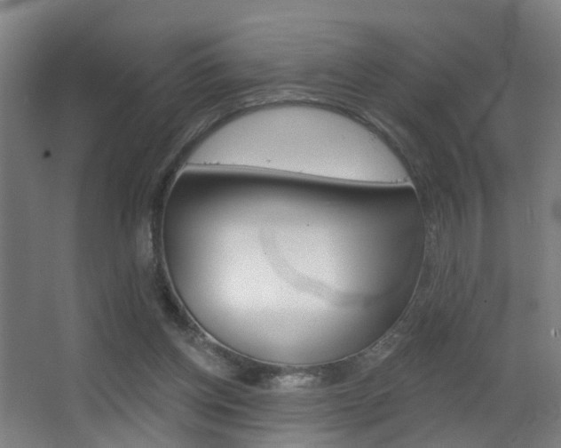 X0000062890158200601131026