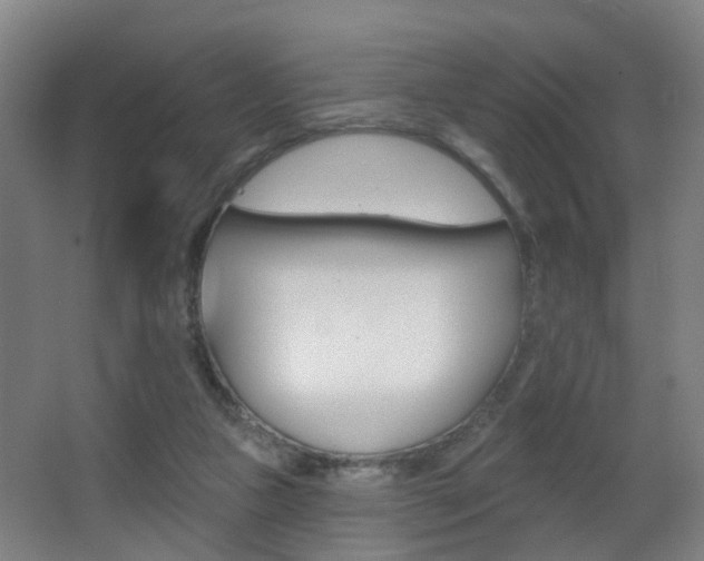 X0000062890161200601131026
