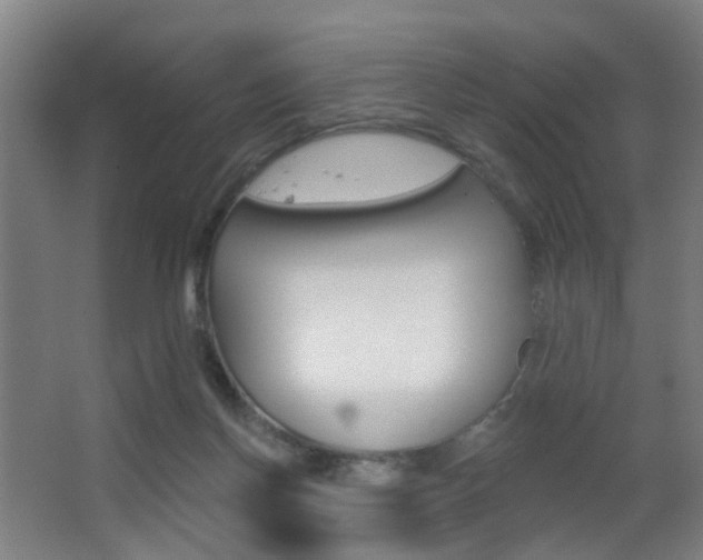 X0000062890166200601131026