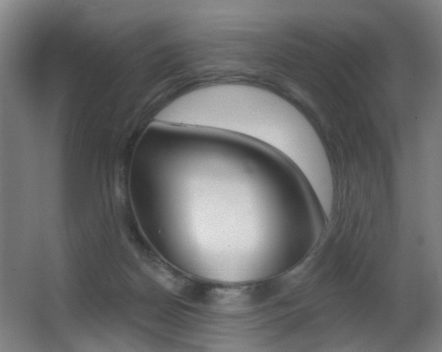 X0000062890170200601131026