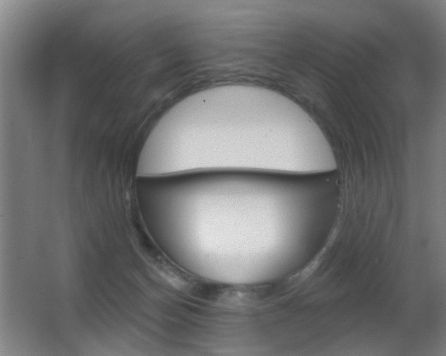 X0000062890174200601131026