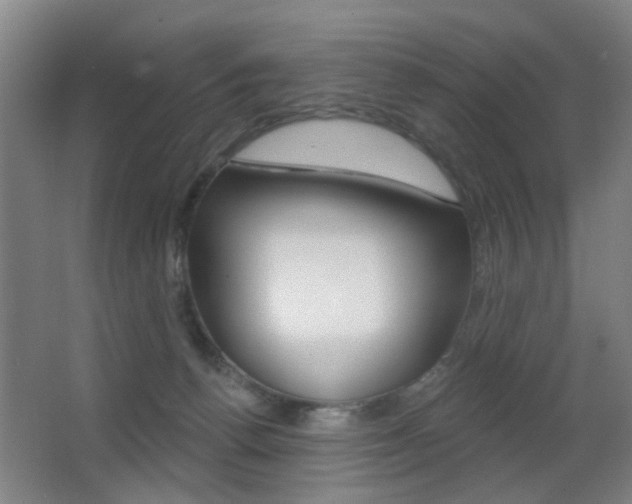X0000062890176200601131026