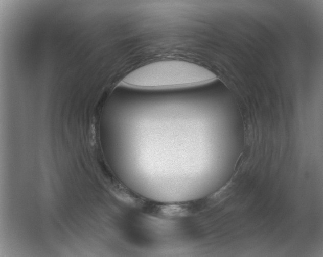 X0000062890183200601131026