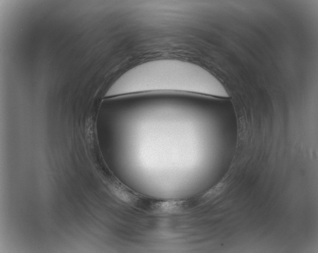 X0000062890184200601131026