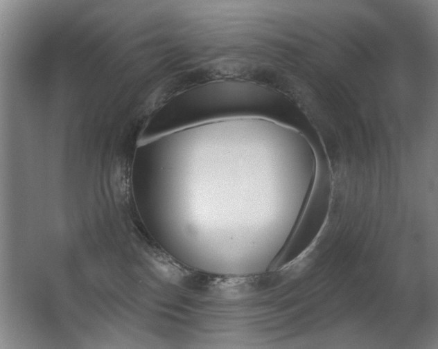 X0000062890186200601131026