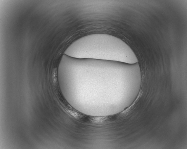 X0000062890191200601131027