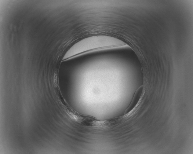 X0000062890192200601131027