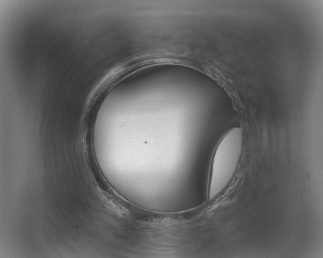X0000062890197200601131026