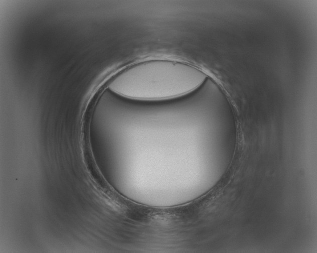 X0000062890199200601131026