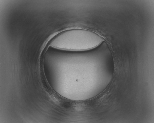 X0000062890200200601131026
