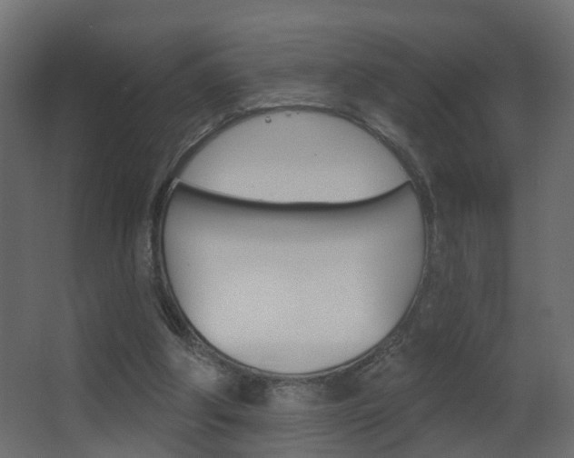 X0000062890202200601131026