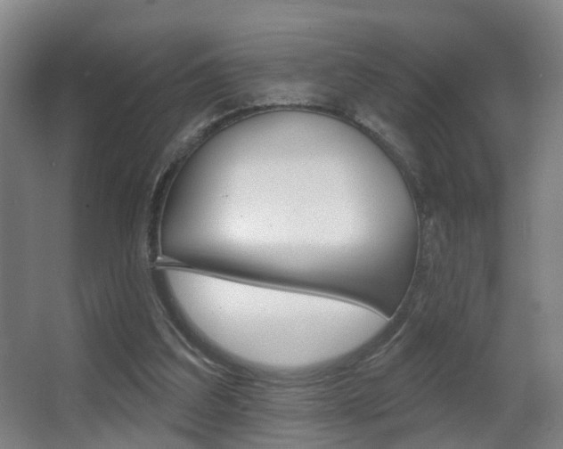 X0000062890203200601131026