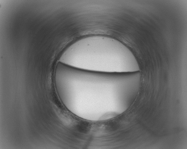 X0000062890206200601131026