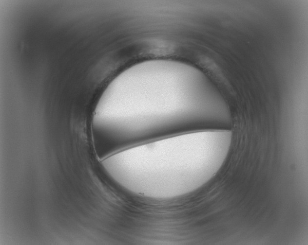 X0000062890212200601131025