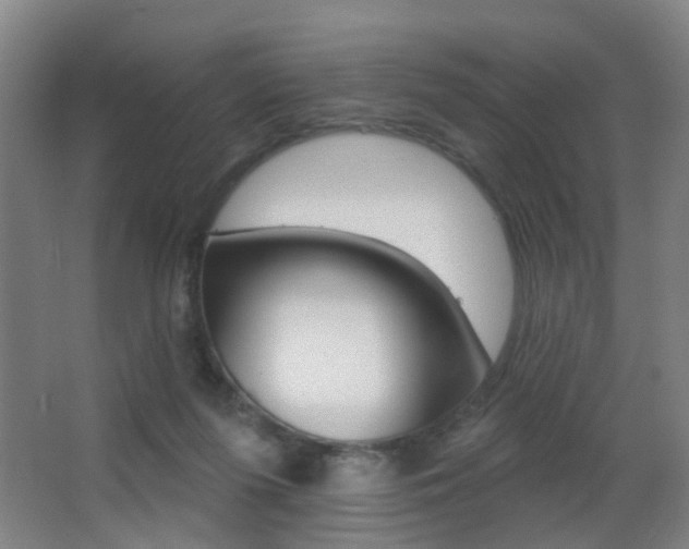 X0000062890215200601131025
