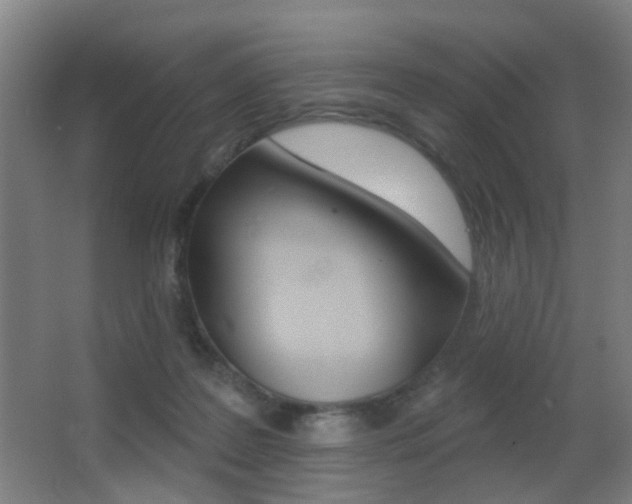 X0000062890219200601131025