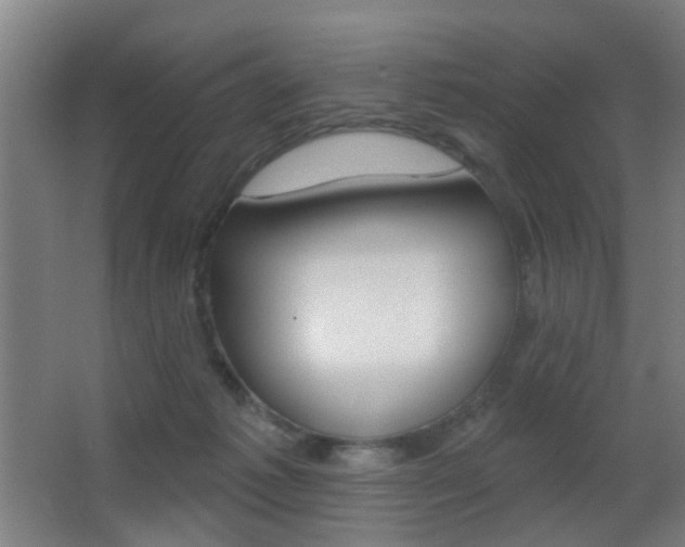 X0000062890221200601131025