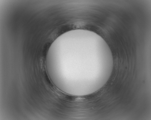 X0000062890222200601131025