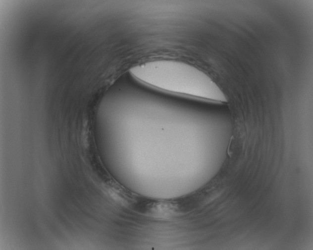 X0000062890223200601131025