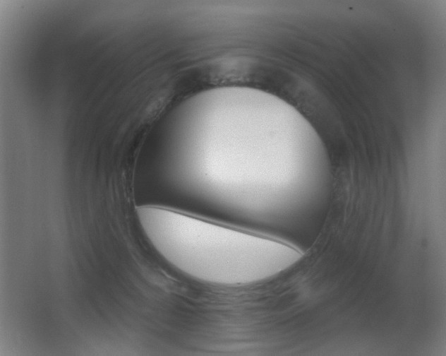 X0000062890224200601131025