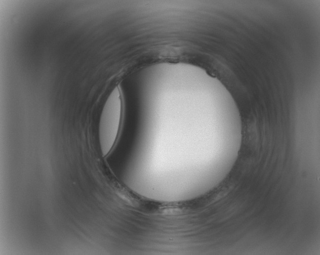 X0000062890228200601131025