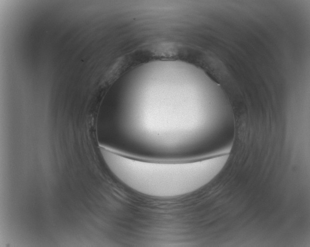 X0000062890229200601131025