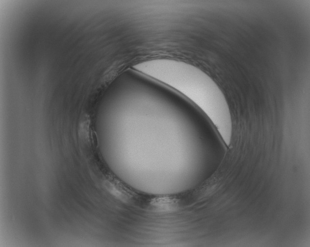 X0000062890231200601131025