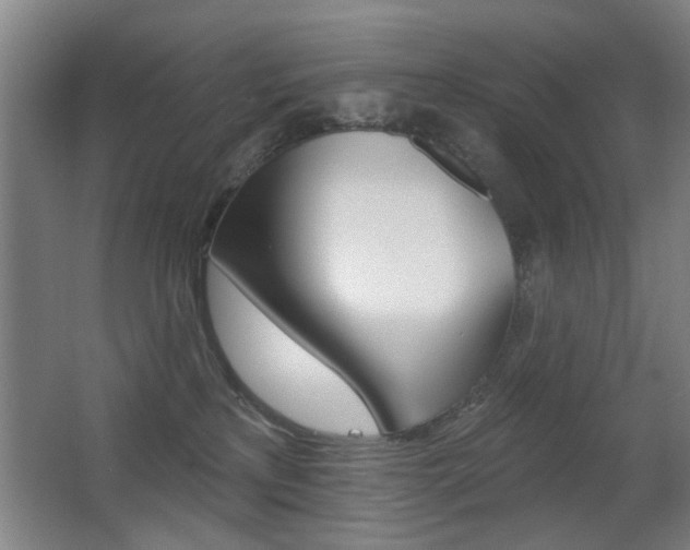 X0000062890233200601131025