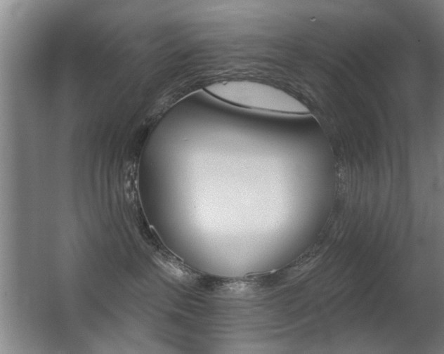 X0000062890237200601131025