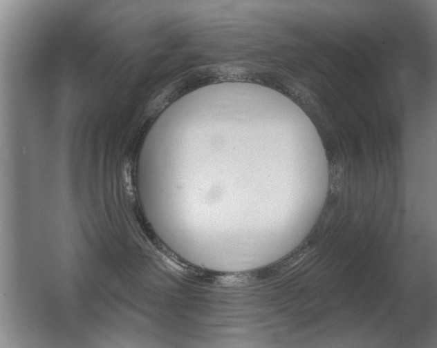 X0000062890238200601131025
