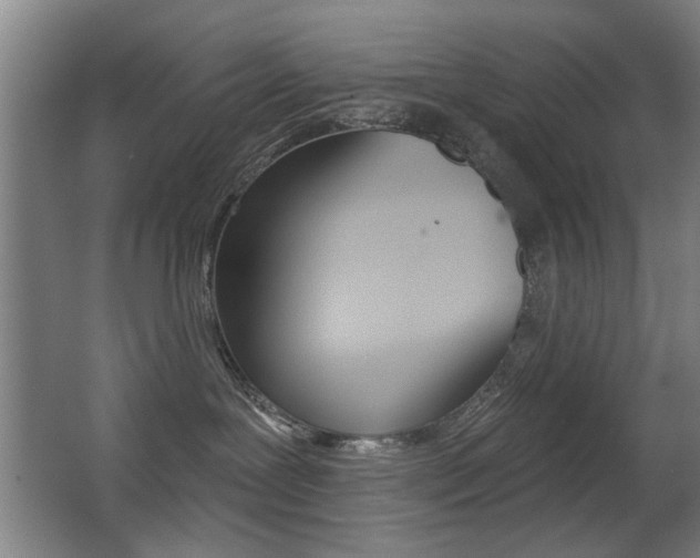 X0000062890239200601131025