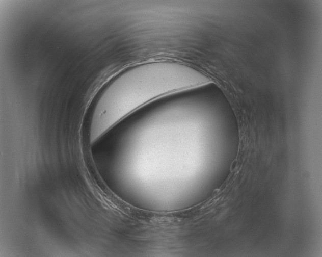 X0000062890242200601131024