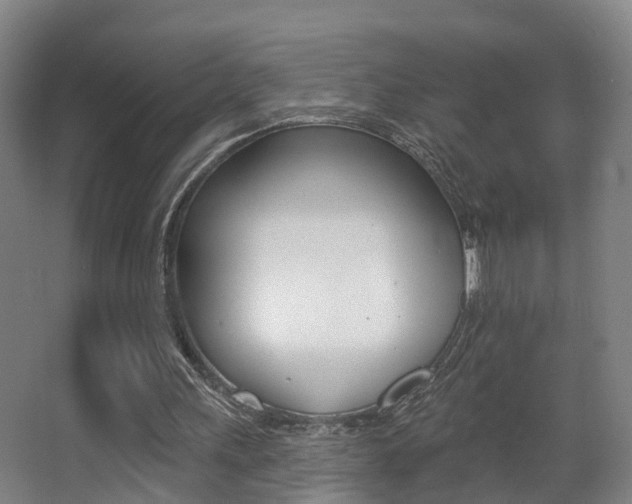 X0000062890243200601131024