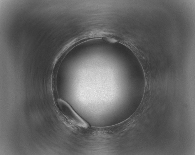 X0000062890244200601131024