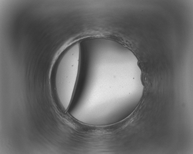 X0000062890246200601131024