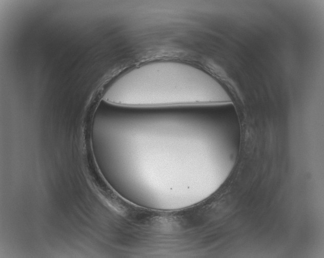 X0000062890250200601131024