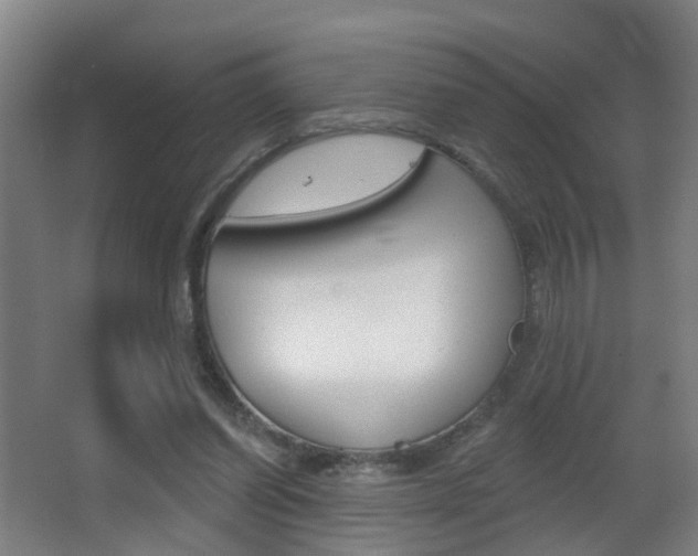 X0000062890254200601131024