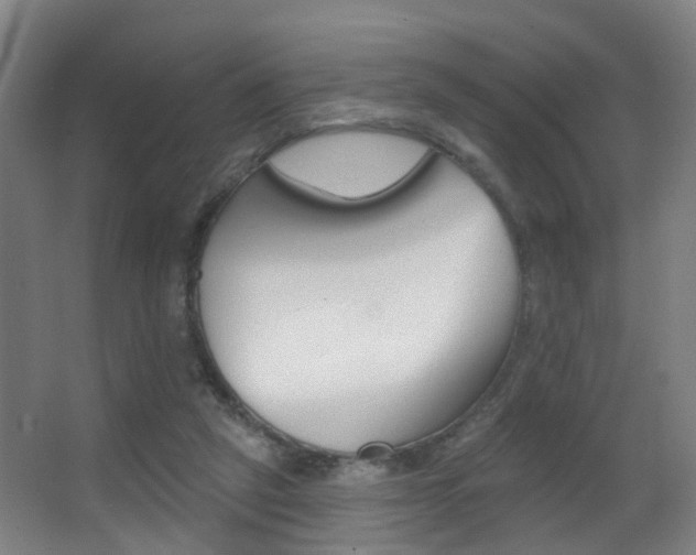 X0000062890257200601131024