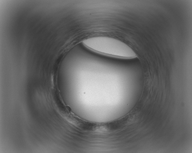X0000062890262200601131025