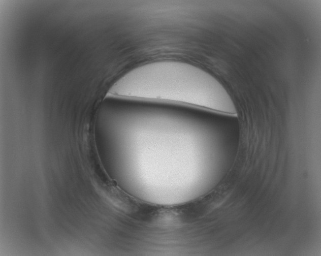 X0000062890263200601131025