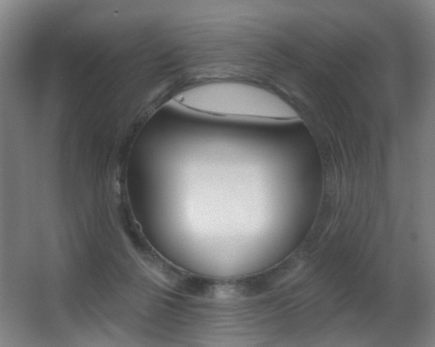 X0000062890264200601131025